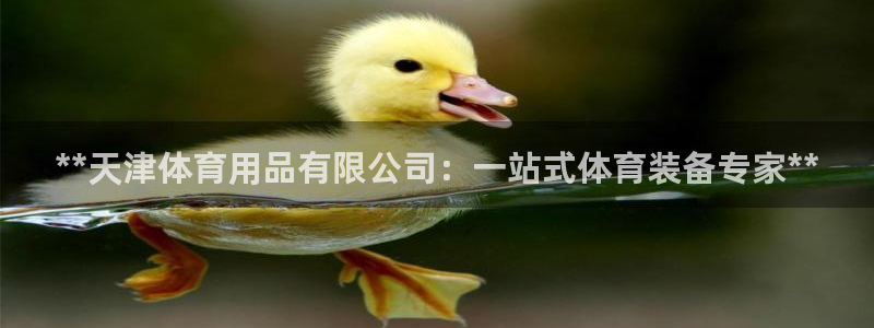 欧陆娱乐公司产品介绍图片：**天津体育用品有限公司：