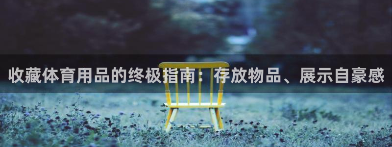 欧陆娱乐代理 贴吧：收藏体育用品的终极指南：存放物品