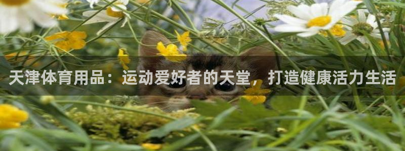 欧陆娱乐平台总代理：天津体育用品：运动爱好者的天堂，