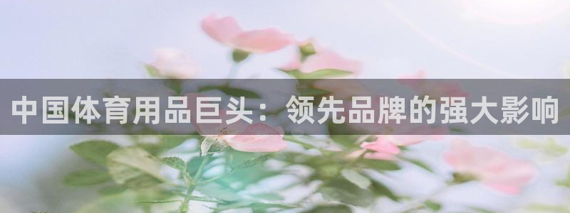 欧陆娱乐官网入口：中国体育用品巨头：领先品牌的强大影