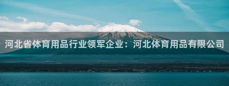 欧陆娱乐平台优势：河北省体育用品行业领军企业：河北体