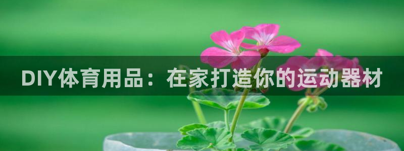 欧陆娱乐试玩官网：DIY体育用品：在家打造你的运动器