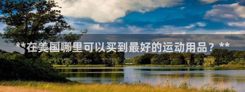 欧陆娱乐官网首页网址：**在美国哪里可以买到最好的运