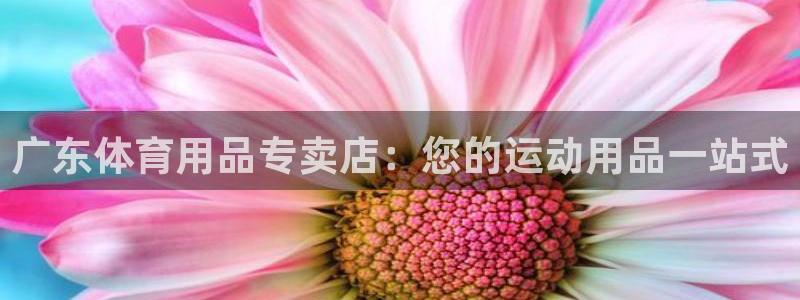 欧陆论坛：广东体育用品专卖店：您的运动用品一站式