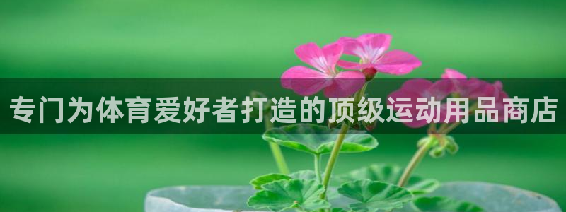 欧陆娱乐代理多少个点位可以赚钱：专门为体育爱好者打造