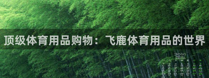 欧陆娱乐登陆平台：顶级体育用品购物：飞鹿体育用品的世