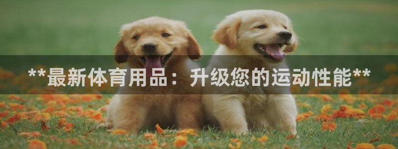 欧陆娱乐怎么注册账号啊：**最新体育用品：升级您的运