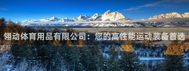 欧陆娱乐计划app官方正版安装下载苹果：翎动体育用品