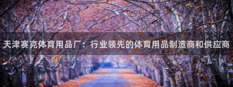 欧陆娱乐的故事有哪些：天津赛克体育用品厂：行业领先的