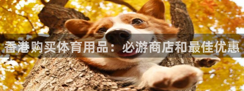 欧陆娱乐脚本怎么用：香港购买体育用品：必游商店和最佳