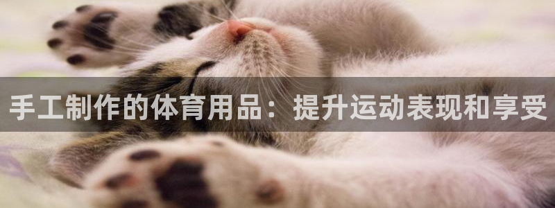 欧陆娱乐挂机怎么玩：手工制作的体育用品：提升运动表现