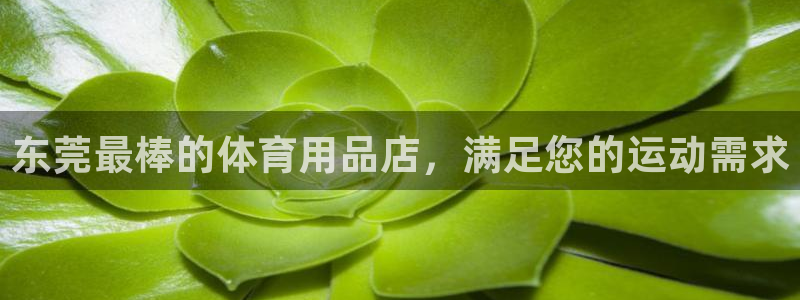 欧陆娱乐能赚钱吗知乎：东莞最棒的体育用品店，满足您的