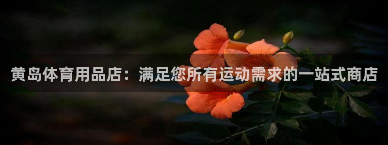 欧陆软件官网：黄岛体育用品店：满足您所有运动需求的一