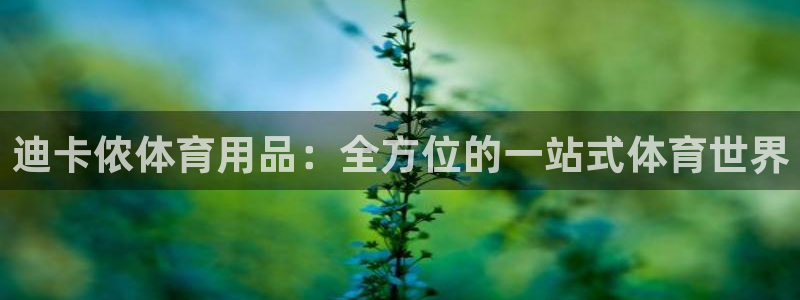 欧陆娱乐打什么方案：迪卡侬体育用品：全方位的一站式体