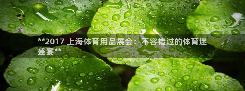 欧陆娱乐里面怎么看打排五：**2017 上海体育用品