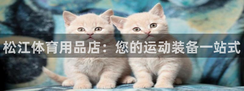 欧陆平台：松江体育用品店：您的运动装备一站式