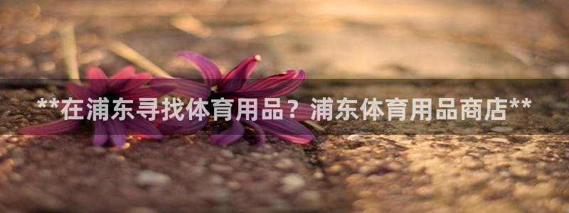 欧陆娱乐出款：**在浦东寻找体育用品？浦东体育用品商