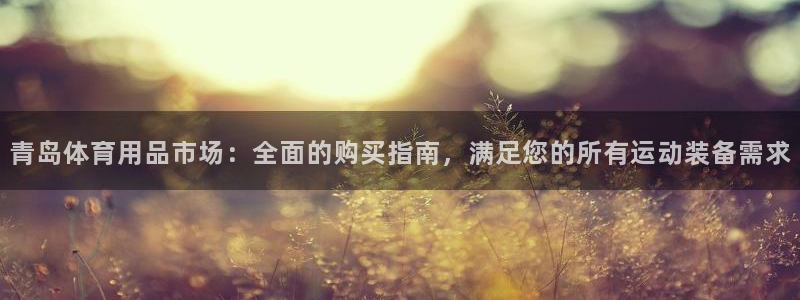 欧陆娱乐客服电话号码：青岛体育用品市场：全面的购买指