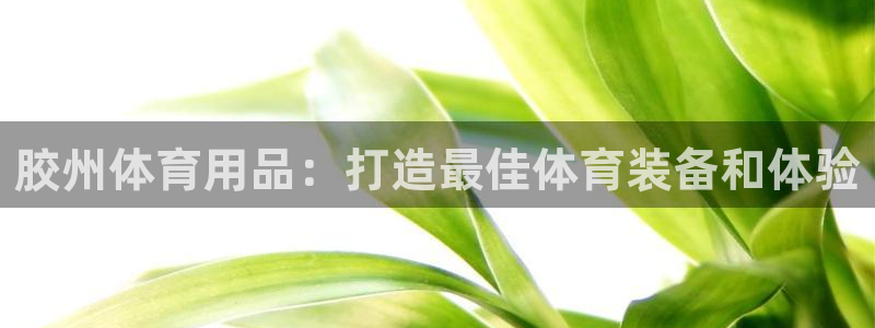 欧陆娱乐平台咋样啊赚钱：胶州体育用品：打造最佳体育装