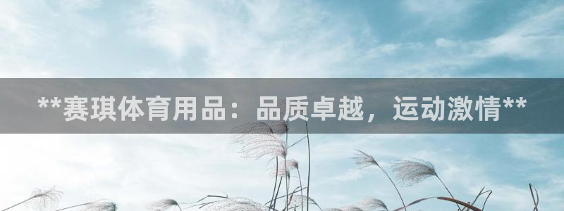 欧陆娱乐是正规平台吗安全吗：**赛琪体育用品：品质卓