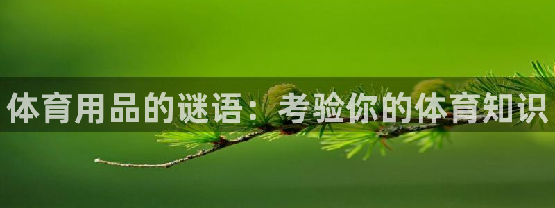 欧陆娱乐注册链接怎么弄的：体育用品的谜语：考验你的体