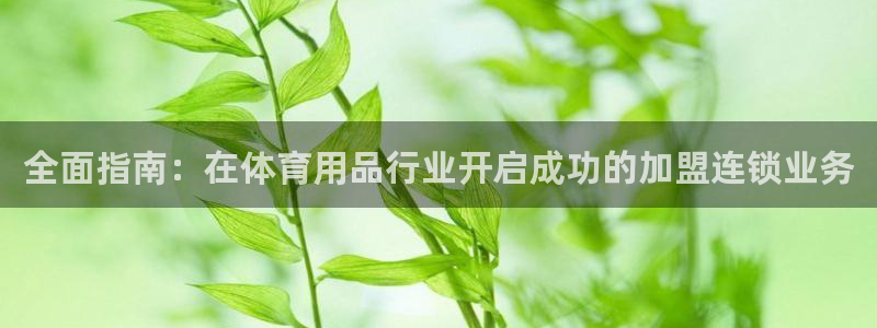 欧陆娱乐脚本怎么用：全面指南：在体育用品行业开启成功