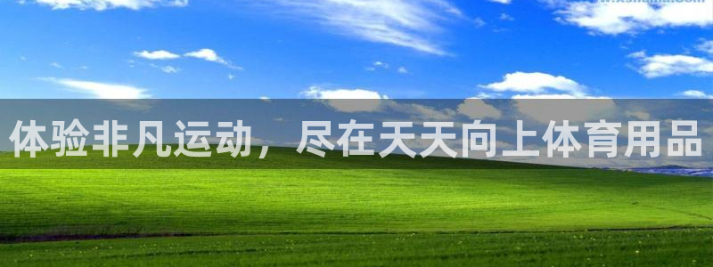 欧陆娱乐app下载：体验非凡运动，尽在天天向上体育用