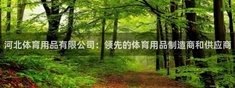 欧陆娱乐平台官网下载：河北体育用品有限公司：领先的体