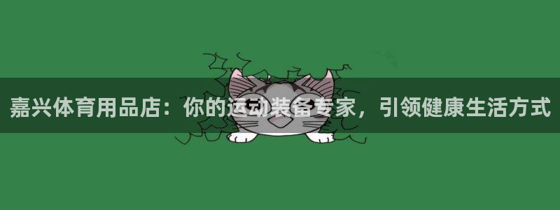 欧陆娱乐是什么：嘉兴体育用品店：你的运动装备专家，引