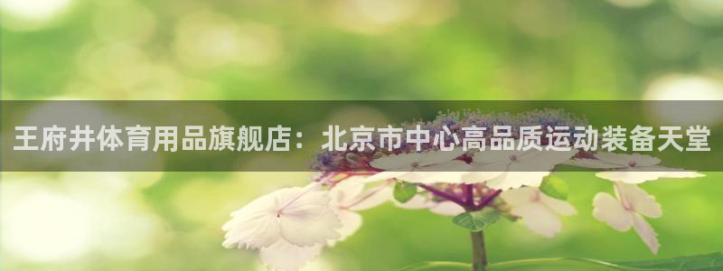 欧陆娱乐稳中：王府井体育用品旗舰店：北京市中心高品质