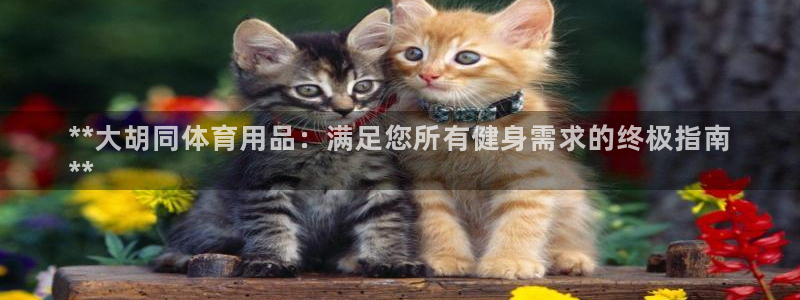 欧陆娱乐登录测速网站：**大胡同体育用品：满足您所有