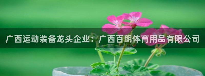 欧陆娱乐平台咋样赚钱的：广西运动装备龙头企业：广西百
