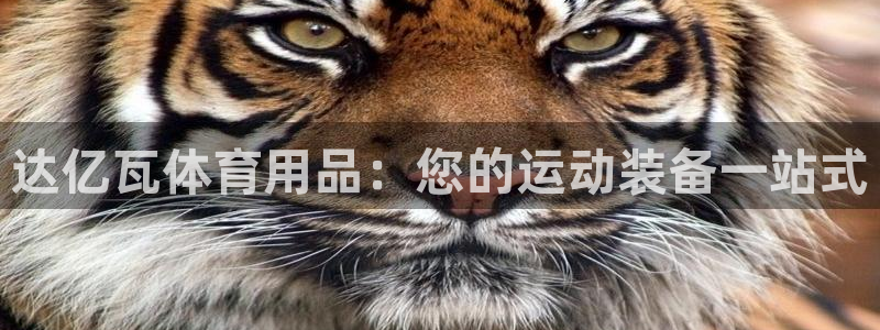 欧陆娱乐官网首页网址：达亿瓦体育用品：您的运动装备一