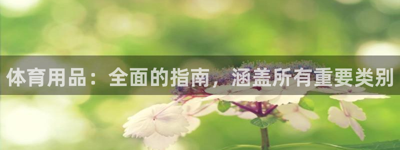 欧陆娱乐怎么注册账号：体育用品：全面的指南，涵盖所有