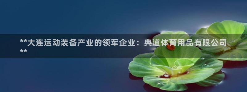 欧陆娱乐官网网址是什么：**大连运动装备产业的领军企