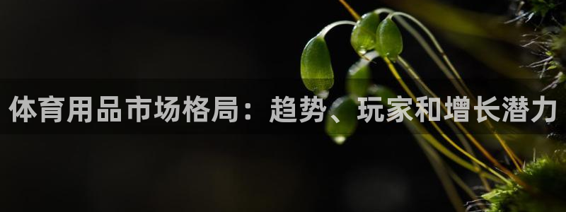 欧陆娱乐注册链接安全吗：体育用品市场格局：趋势、玩家