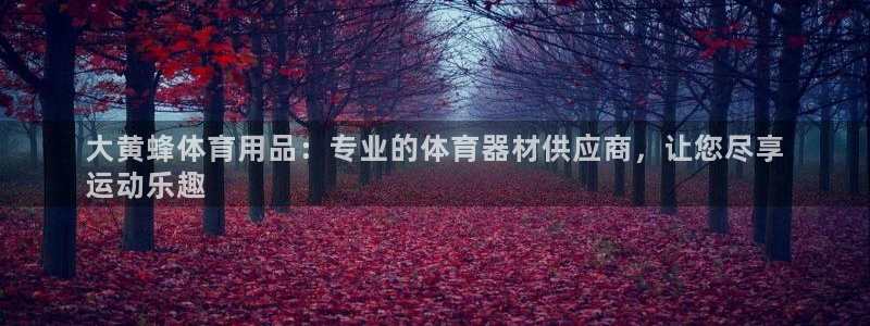 欧陆论坛：大黄蜂体育用品：专业的体育器材供应商，让您