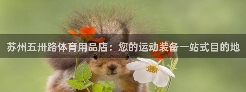欧陆娱乐平台官网下载：苏州五卅路体育用品店：您的运动