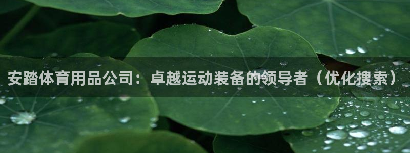 欧陆娱乐怎么注册：安踏体育用品公司：卓越运动装备的领