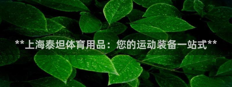 欧陆娱乐挂机项目：**上海泰坦体育用品：您的运动装备