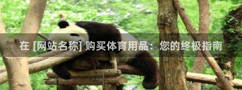 欧陆娱乐注册链接：在 [网站名称] 购买体育用品：您