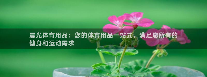 欧陆娱乐公司产品介绍大全：晨光体育用品：您的体育用品