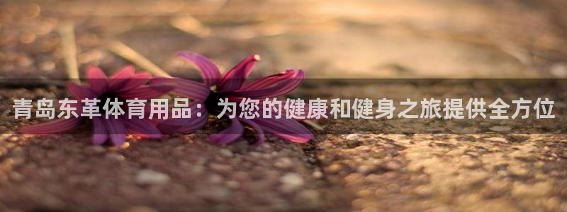 欧陆娱乐打什么方案：青岛东革体育用品：为您的健康和健