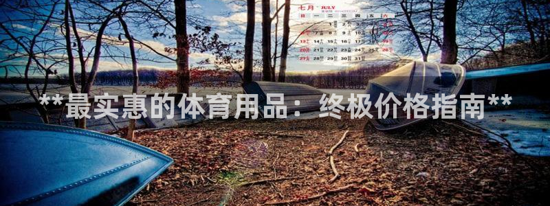 欧陆娱乐脚本怎么用：**最实惠的体育用品：终极价格指