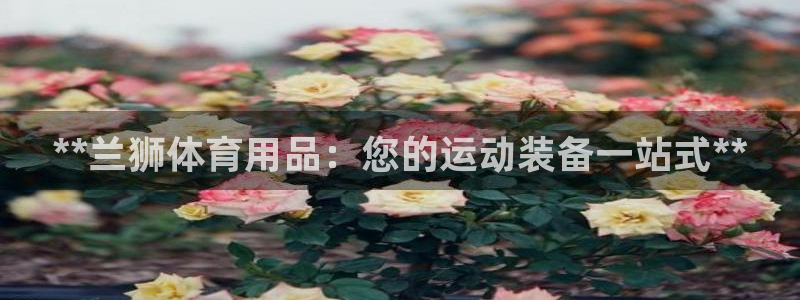欧陆娱乐注册芯7o777ts=0：**兰狮体育用品：
