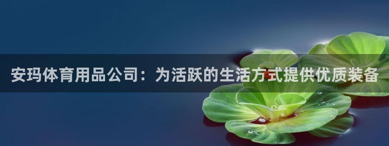 欧陆娱乐客服服务：安玛体育用品公司：为活跃的生活方式