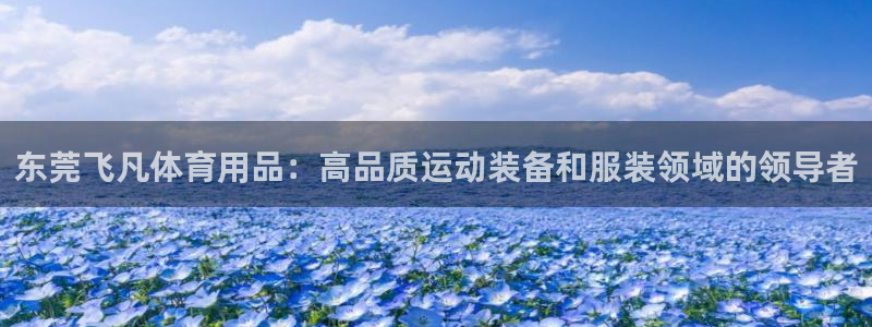 欧陆娱乐群里怎么进：东莞飞凡体育用品：高品质运动装备