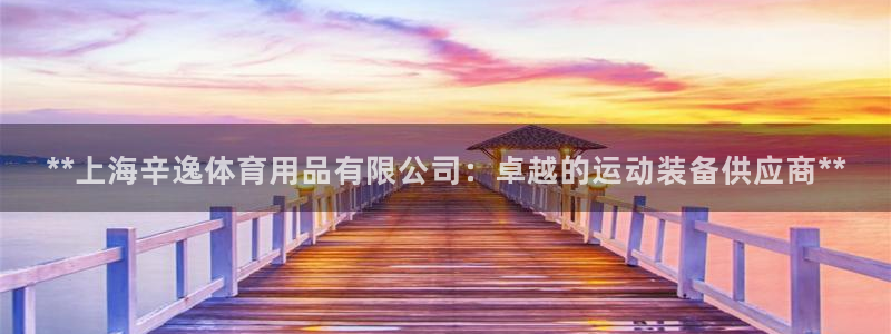 欧陆娱乐总代理：**上海辛逸体育用品有限公司：卓越的
