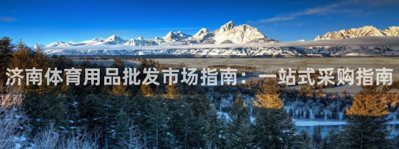 欧陆娱乐脚本怎么用：济南体育用品批发市场指南：一站式