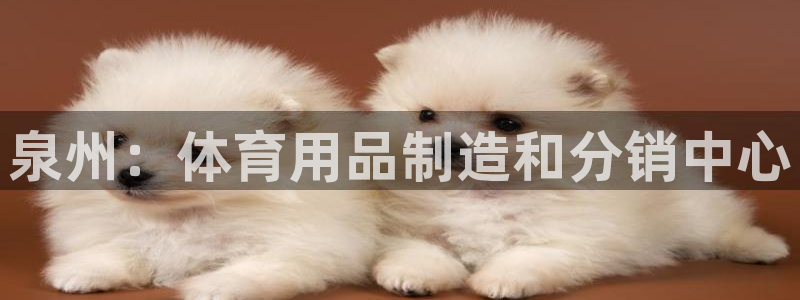 欧陆娱乐是正规平台吗安全吗：泉州：体育用品制造和分销